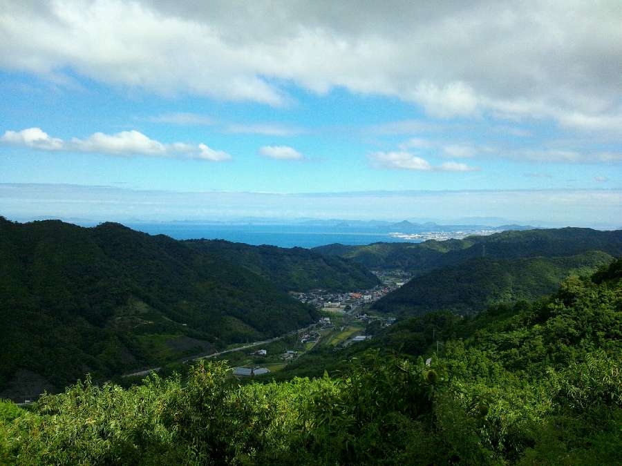 南山崎地区の様子